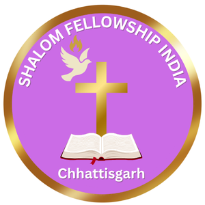 sfi logo